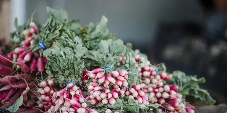 A display of fresh produce