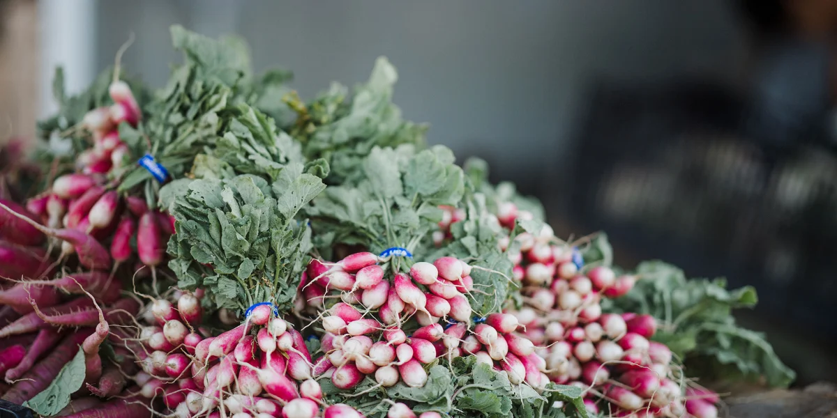 A display of fresh produce