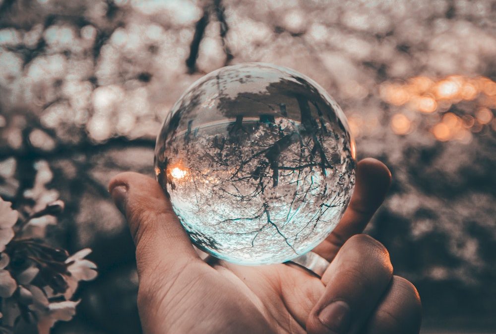 Is Hindsight 20/20?  Checking the Crystal Ball in your Rear-View Mirror