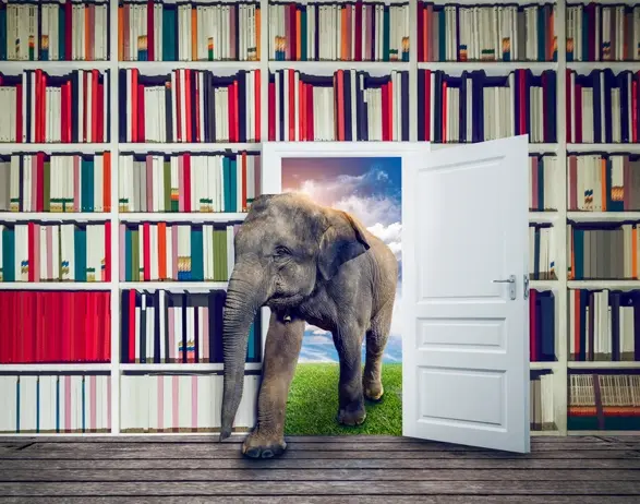 Elephant standing beside a bookshelf, symbolizing wisdom and knowledge